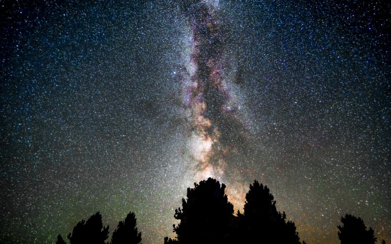 Milky Way + Tree Tops
