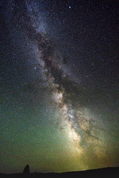 Milky Way + Lone Tree
