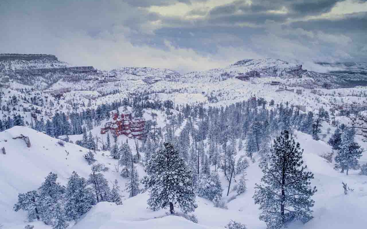 Bryce National Park