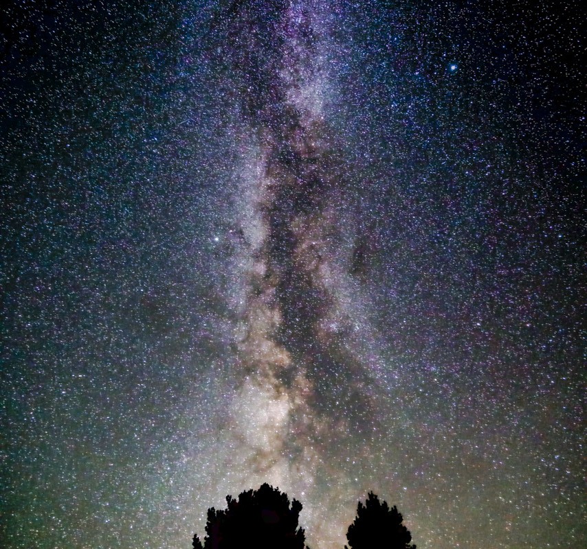 Milky Way + Tree Tops (V)